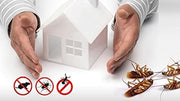 Kedbrooke Insect Killer (10 Watt)