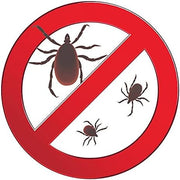 Kedbrooke Insect Killer (10 Watt)