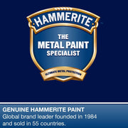 Hammerite Aerosol Spray Paint Smooth Yellow 400Ml