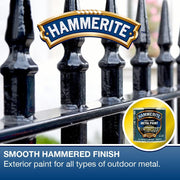 Hammerite 5084818 Metal Paint: Hammered Gold 250ml