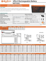 Voltron-Raw Power VRLA AGM Battery 12A-6V-Made in Vietnam
