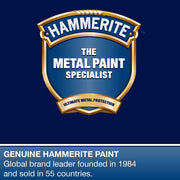 Hammerite Aerosol Spray Paint Hammered Black 400Ml