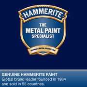 Hammerite Metal Paint Hammered Red 250Ml